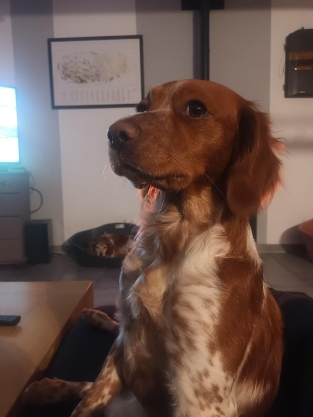 de la baie de quervière Tina